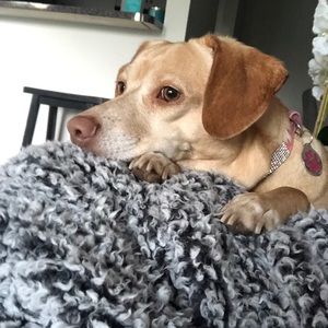 Meet your Posher, Amanda